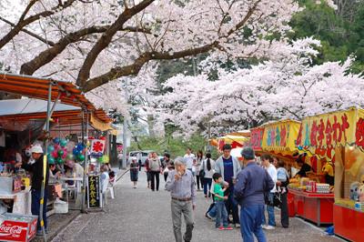 露店が立ち並び桜の花が咲いている様子の写真