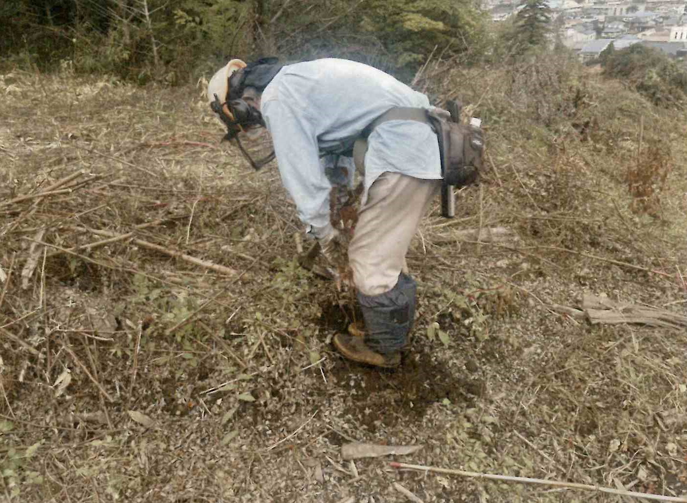 森林経営管理事業（低木樹植え付け作業中）